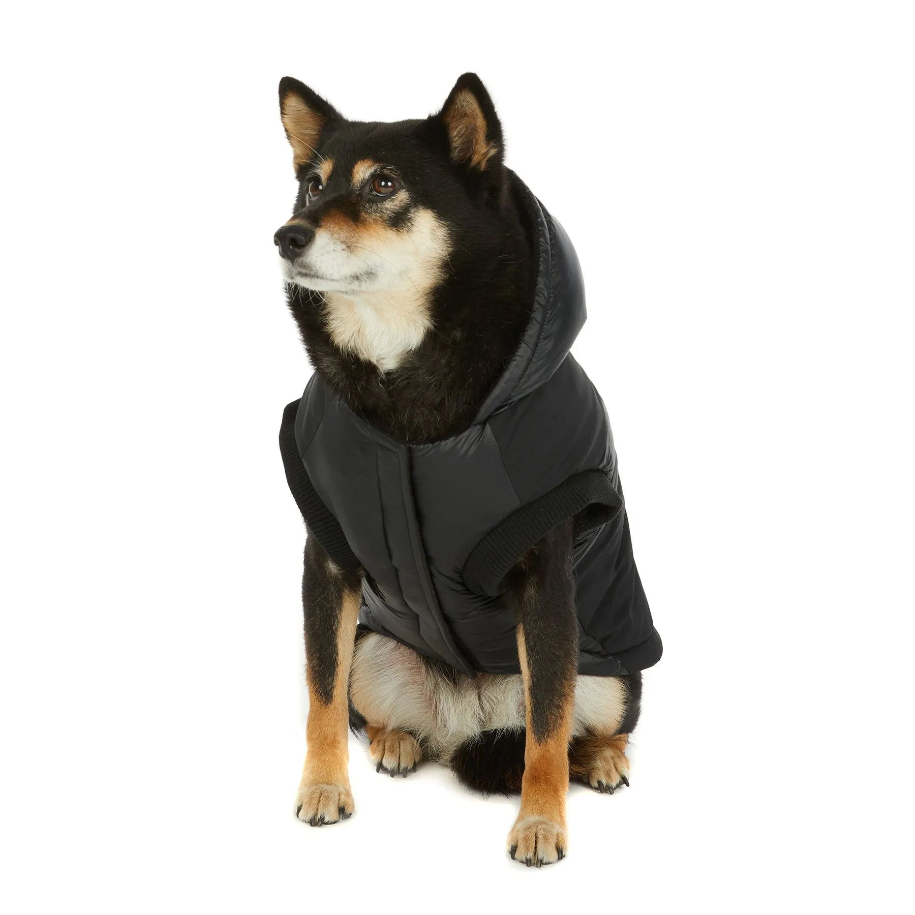 Mattie Jacket for Dogs