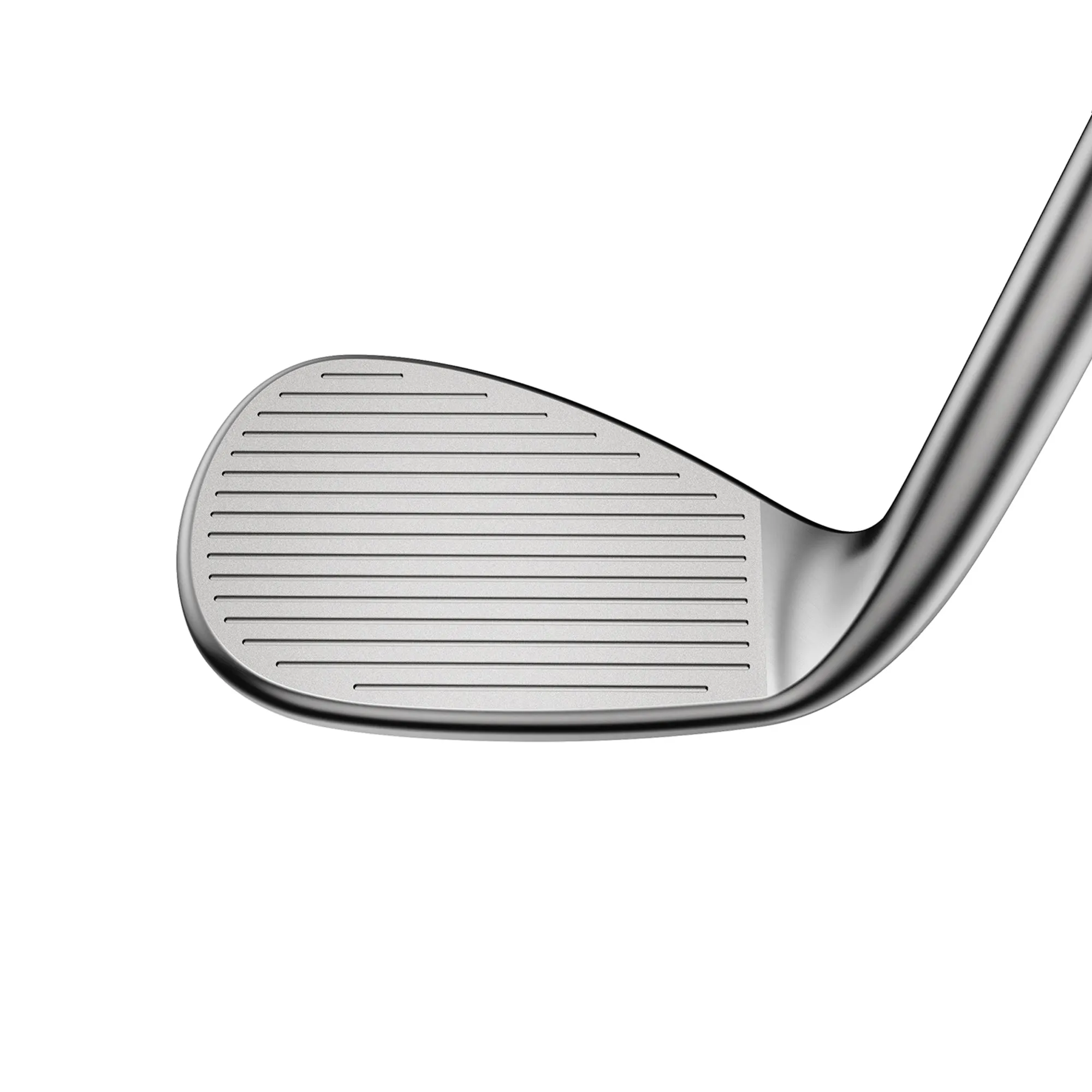 SNAKEBITE Raw Wedge | Versatile | Right